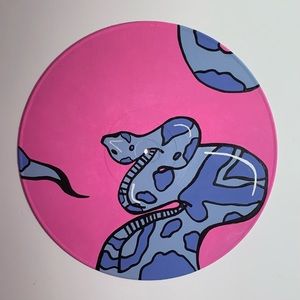 snake painted record